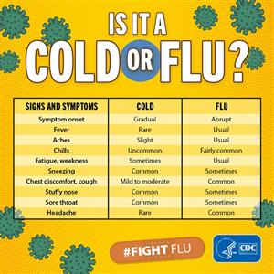 Is it a Cold or Flu?